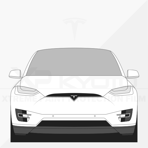 Model X 2016-2021