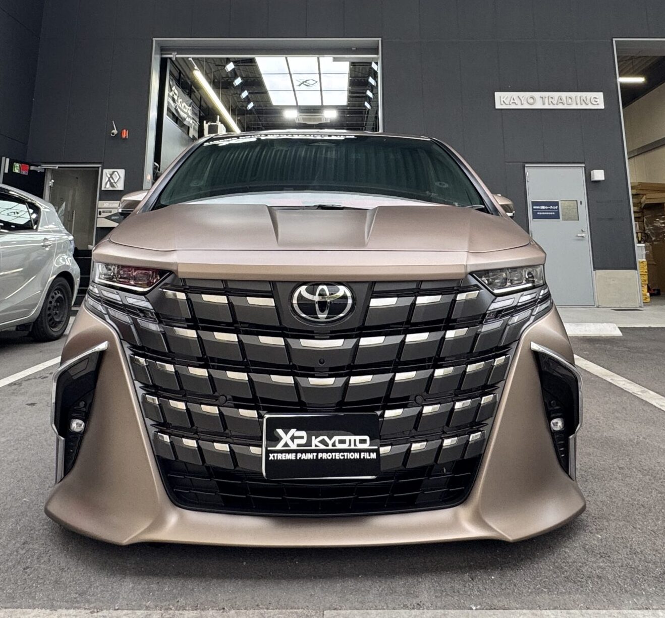 プレシャスドブロンド