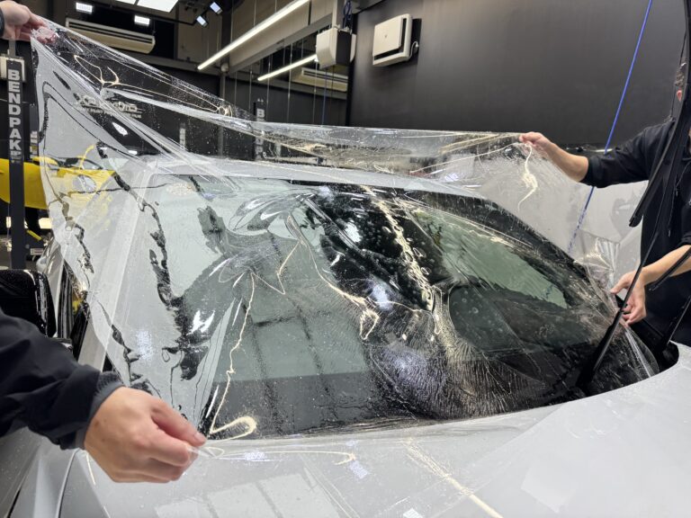 ウィンドウプロテクション